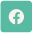 FaceBook_icon